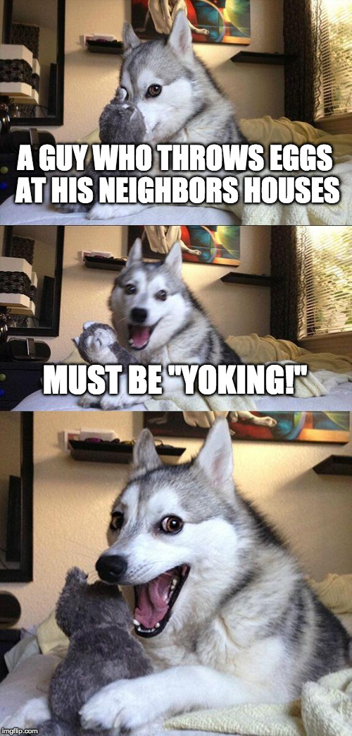 Bad Pun Dog | A GUY WHO THROWS EGGS AT HIS NEIGHBORS HOUSES; MUST BE ''YOKING!'' | image tagged in memes,bad pun dog | made w/ Imgflip meme maker