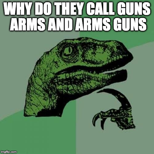 Philosoraptor Meme | WHY DO THEY CALL GUNS ARMS AND ARMS GUNS | image tagged in memes,philosoraptor | made w/ Imgflip meme maker