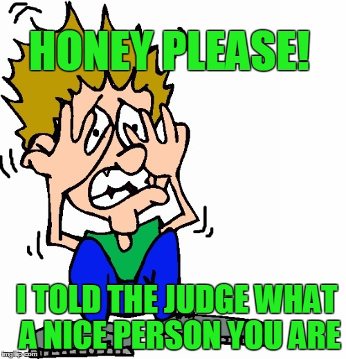 don't hit me | HONEY PLEASE! I TOLD THE JUDGE WHAT A NICE PERSON YOU ARE | image tagged in don't hit me | made w/ Imgflip meme maker