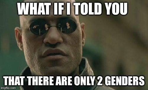 Matrix Morpheus Meme | WHAT IF I TOLD YOU; THAT THERE ARE ONLY 2 GENDERS | image tagged in memes,matrix morpheus | made w/ Imgflip meme maker