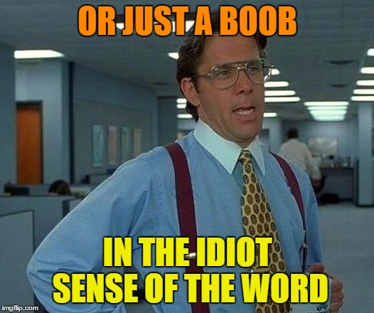 That Would Be Great Meme | OR JUST A BOOB IN THE IDIOT SENSE OF THE WORD | image tagged in memes,that would be great | made w/ Imgflip meme maker