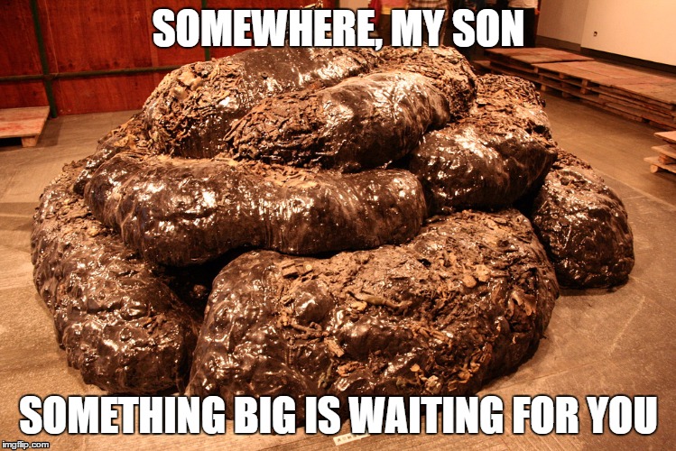SOMEWHERE, MY SON; SOMETHING BIG IS WAITING FOR YOU | image tagged in shit,bullshit,life | made w/ Imgflip meme maker