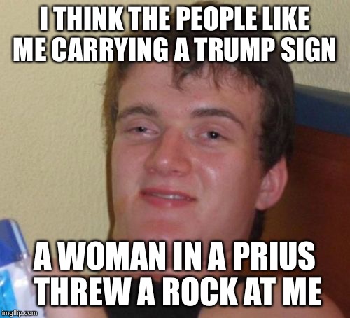 10 Guy | I THINK THE PEOPLE LIKE ME CARRYING A TRUMP SIGN; A WOMAN IN A PRIUS THREW A ROCK AT ME | image tagged in memes,10 guy | made w/ Imgflip meme maker