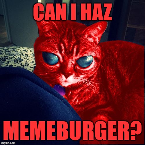 RayCat Aliens | CAN I HAZ; MEMEBURGER? | image tagged in raycat aliens,memes | made w/ Imgflip meme maker