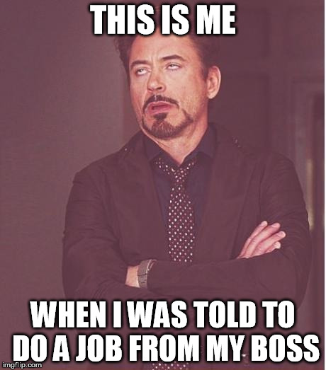Face You Make Robert Downey Jr Meme | THIS IS ME; WHEN I WAS TOLD TO DO A JOB FROM MY BOSS | image tagged in memes,face you make robert downey jr | made w/ Imgflip meme maker