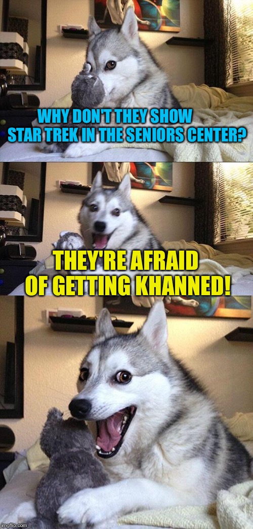 Bad Pun Dog Meme | WHY DON'T THEY SHOW        STAR TREK IN THE SENIORS CENTER? THEY'RE AFRAID OF GETTING KHANNED! | image tagged in memes,bad pun dog | made w/ Imgflip meme maker