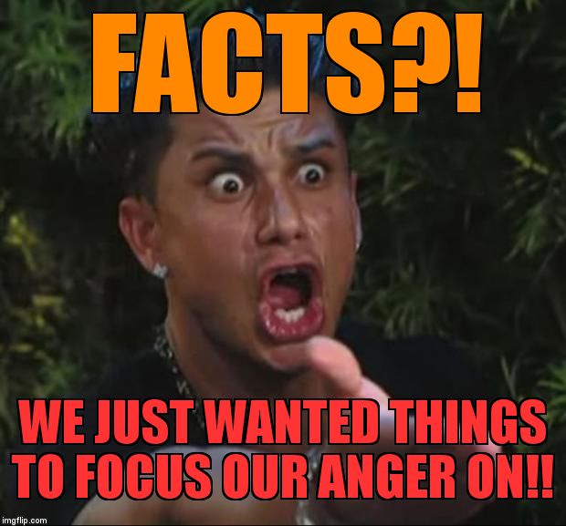 DJ Pauly D Meme | FACTS?! WE JUST WANTED THINGS TO FOCUS OUR ANGER ON!! | image tagged in memes,dj pauly d | made w/ Imgflip meme maker