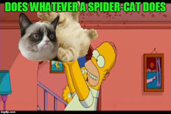 DOES WHATEVER A SPIDER-CAT DOES | made w/ Imgflip meme maker