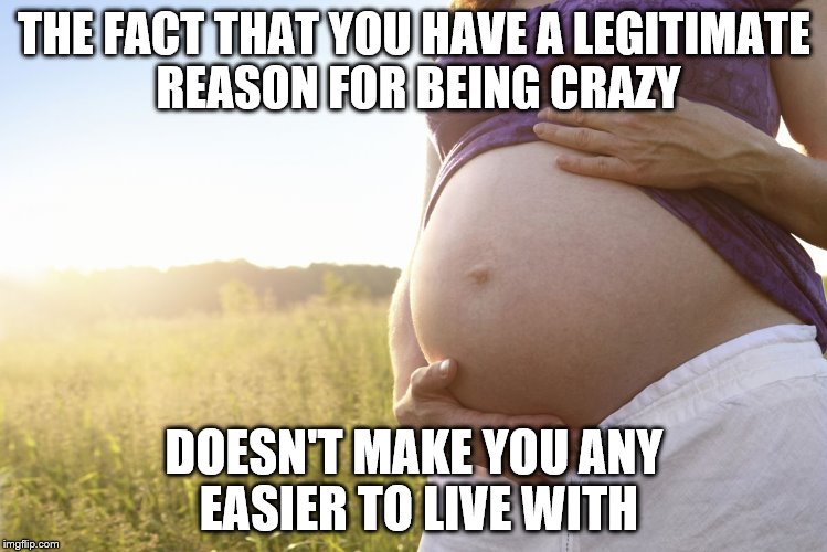 Woman, you are bat shit crazy. | THE FACT THAT YOU HAVE A LEGITIMATE REASON FOR BEING CRAZY; DOESN'T MAKE YOU ANY EASIER TO LIVE WITH | image tagged in pregnant woman | made w/ Imgflip meme maker