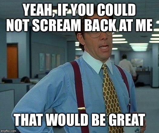 That Would Be Great Meme | YEAH, IF YOU COULD NOT SCREAM BACK AT ME THAT WOULD BE GREAT | image tagged in memes,that would be great | made w/ Imgflip meme maker