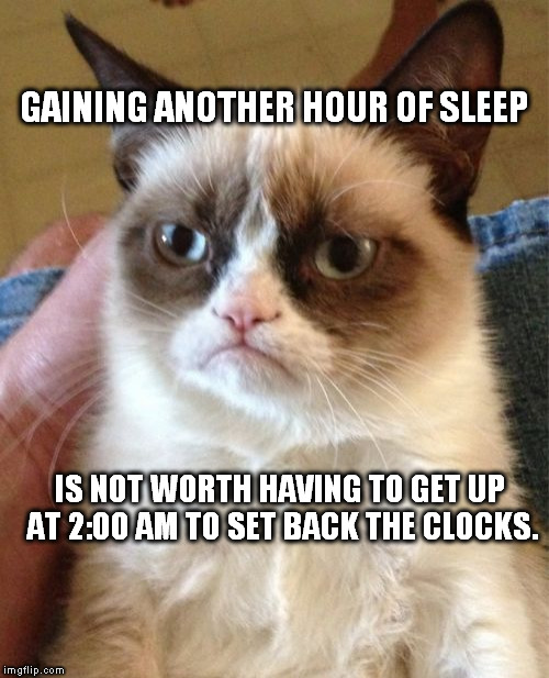 Grumpy Cat | GAINING ANOTHER HOUR OF SLEEP; IS NOT WORTH HAVING TO GET UP AT 2:00 AM TO SET BACK THE CLOCKS. | image tagged in memes,grumpy cat | made w/ Imgflip meme maker