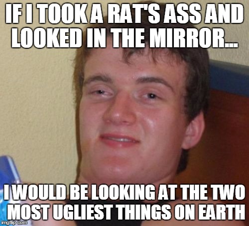 10 Guy | IF I TOOK A RAT'S ASS AND LOOKED IN THE MIRROR... I WOULD BE LOOKING AT THE TWO MOST UGLIEST THINGS ON EARTH | image tagged in memes,10 guy | made w/ Imgflip meme maker