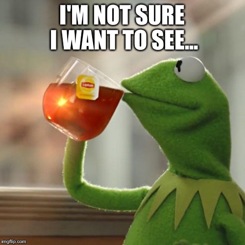 But That's None Of My Business Meme | I'M NOT SURE I WANT TO SEE... | image tagged in memes,but thats none of my business,kermit the frog | made w/ Imgflip meme maker