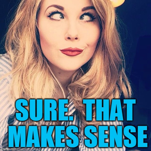 SURE.  THAT MAKES SENSE | image tagged in smile | made w/ Imgflip meme maker
