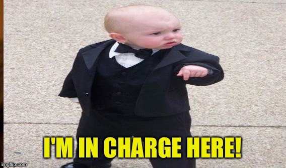 I'M IN CHARGE HERE! | made w/ Imgflip meme maker