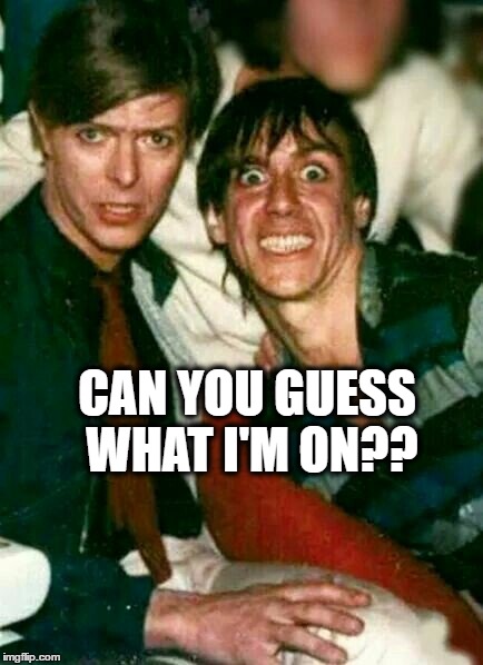 Iggy played guitar! | CAN YOU GUESS WHAT I'M ON?? | image tagged in music | made w/ Imgflip meme maker