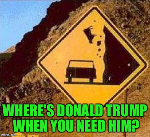 Walls save lives | WHERE'S DONALD TRUMP WHEN YOU NEED HIM? | image tagged in falling cows,memes | made w/ Imgflip meme maker