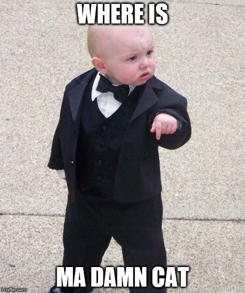 Baby Godfather Meme | WHERE IS; MA DAMN CAT | image tagged in memes,baby godfather | made w/ Imgflip meme maker