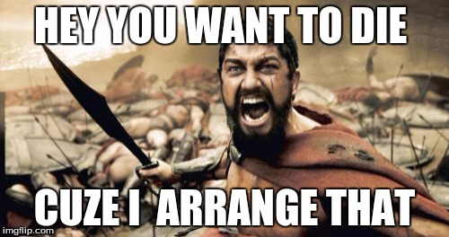 Sparta Leonidas | HEY YOU WANT TO DIE; CUZE I  ARRANGE THAT | image tagged in memes,sparta leonidas | made w/ Imgflip meme maker