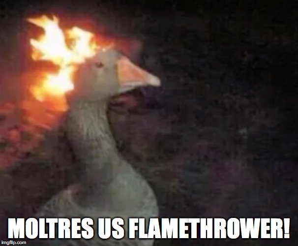 ANYONE ELSE PUMPED FOR SUN AND MOON!?! |  MOLTRES US FLAMETHROWER! | image tagged in pokemanz | made w/ Imgflip meme maker