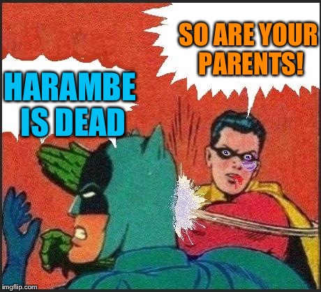 Robin slaps | SO ARE YOUR PARENTS! HARAMBE IS DEAD | image tagged in robin slaps | made w/ Imgflip meme maker