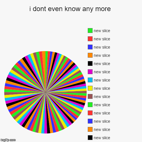 i dont even know any more | image tagged in funny,pie charts | made w/ Imgflip chart maker