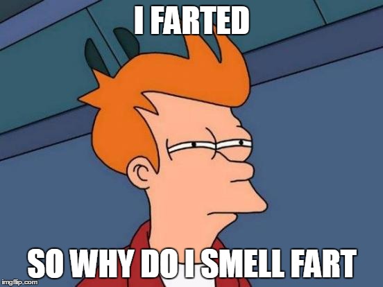 Futurama Fry | I FARTED; SO WHY DO I SMELL FART | image tagged in memes,futurama fry | made w/ Imgflip meme maker