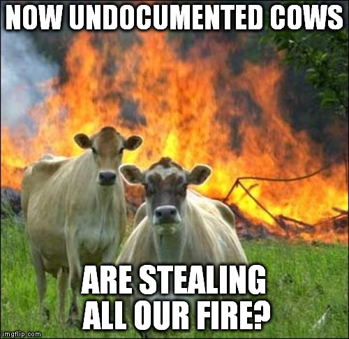 NOW UNDOCUMENTED COWS ARE STEALING ALL OUR FIRE? | made w/ Imgflip meme maker