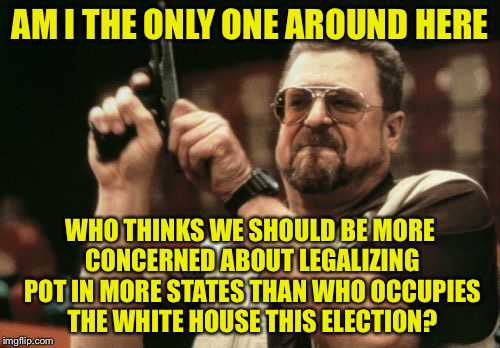 Am I The Only One Around Here Meme | AM I THE ONLY ONE AROUND HERE; WHO THINKS WE SHOULD BE MORE CONCERNED ABOUT LEGALIZING POT IN MORE STATES THAN WHO OCCUPIES THE WHITE HOUSE THIS ELECTION? | image tagged in memes,am i the only one around here | made w/ Imgflip meme maker