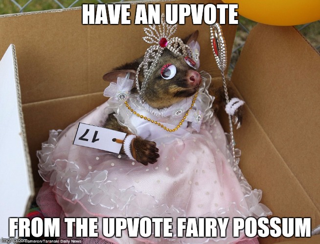Dead_Possum | HAVE AN UPVOTE FROM THE UPVOTE FAIRY POSSUM | image tagged in dead_possum | made w/ Imgflip meme maker