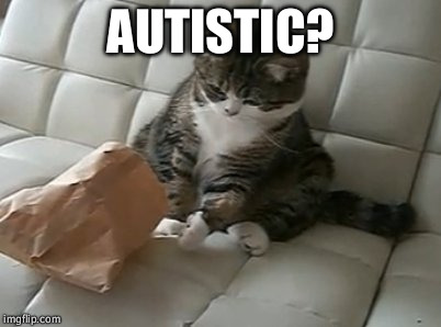 AUTISTIC? | image tagged in autistic cat | made w/ Imgflip meme maker