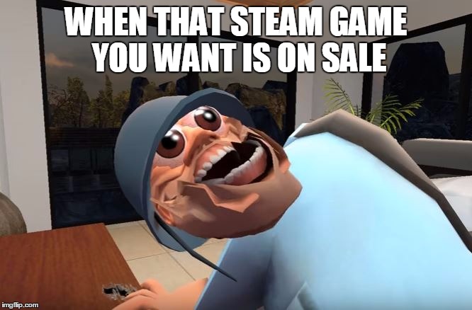  WHEN THAT STEAM GAME YOU WANT IS ON SALE | image tagged in when that x you want is on sale | made w/ Imgflip meme maker