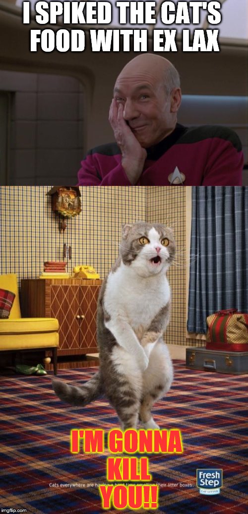 I SPIKED THE CAT'S FOOD WITH EX LAX; I'M GONNA KILL YOU!! | image tagged in stupid joke picard | made w/ Imgflip meme maker