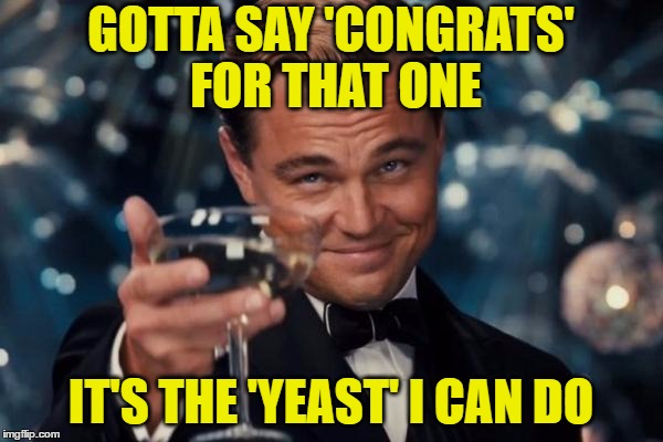 Leonardo Dicaprio Cheers Meme | GOTTA SAY 'CONGRATS' FOR THAT ONE IT'S THE 'YEAST' I CAN DO | image tagged in memes,leonardo dicaprio cheers | made w/ Imgflip meme maker