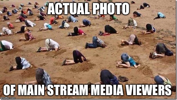 Head in sand | ACTUAL PHOTO; OF MAIN STREAM MEDIA VIEWERS | image tagged in head in sand | made w/ Imgflip meme maker