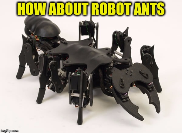 HOW ABOUT ROBOT ANTS | made w/ Imgflip meme maker