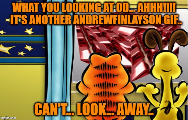 WHAT YOU LOOKING AT OD... AHHH!!!!  IT'S ANOTHER ANDREWFINLAYSON GIF.. CAN'T... LOOK... AWAY.. | made w/ Imgflip meme maker