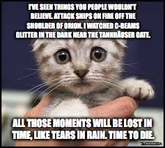 Kittens | I'VE SEEN THINGS YOU PEOPLE WOULDN'T BELIEVE. ATTACK SHIPS ON FIRE OFF THE SHOULDER OF ORION. I WATCHED C-BEAMS GLITTER IN THE DARK NEAR THE TANNHÄUSER GATE. ALL THOSE MOMENTS WILL BE LOST IN TIME, LIKE TEARS IN RAIN. TIME TO DIE. | image tagged in kittens | made w/ Imgflip meme maker