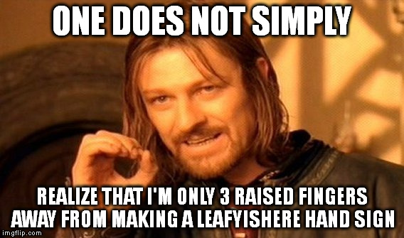 One Does Not Simply | ONE DOES NOT SIMPLY; REALIZE THAT I'M ONLY 3 RAISED FINGERS AWAY FROM MAKING A LEAFYISHERE HAND SIGN | image tagged in memes,one does not simply | made w/ Imgflip meme maker