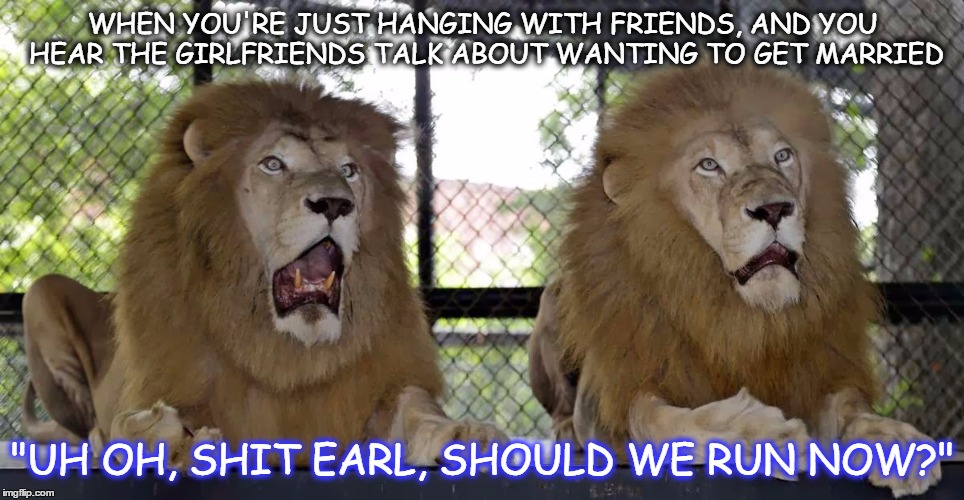 WHEN YOU'RE JUST HANGING WITH FRIENDS, AND YOU HEAR THE GIRLFRIENDS TALK ABOUT WANTING TO GET MARRIED; "UH OH, SHIT EARL, SHOULD WE RUN NOW?" | image tagged in funny memes,funny animals | made w/ Imgflip meme maker