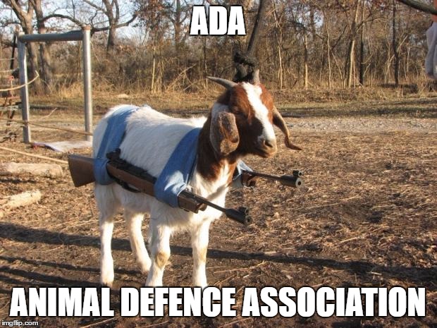 Animal Defence Association | ADA; ANIMAL DEFENCE ASSOCIATION | image tagged in call of duty goat,animal meme | made w/ Imgflip meme maker