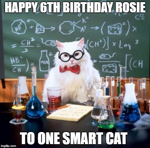 Chemistry Cat | HAPPY 6TH BIRTHDAY ROSIE; TO ONE SMART CAT | image tagged in memes,chemistry cat | made w/ Imgflip meme maker
