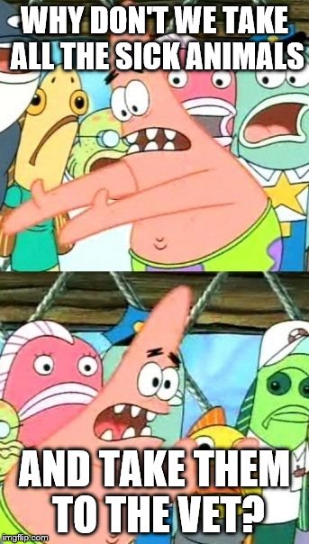 Put It Somewhere Else Patrick Meme | WHY DON'T WE TAKE ALL THE SICK ANIMALS; AND TAKE THEM TO THE VET? | image tagged in memes,put it somewhere else patrick | made w/ Imgflip meme maker