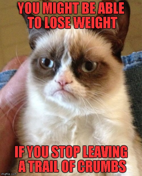 Grumpy Cat | YOU MIGHT BE ABLE TO LOSE WEIGHT; IF YOU STOP LEAVING A TRAIL OF CRUMBS | image tagged in memes,grumpy cat | made w/ Imgflip meme maker