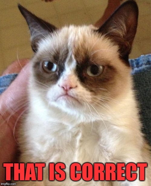 Grumpy Cat Meme | THAT IS CORRECT | image tagged in memes,grumpy cat | made w/ Imgflip meme maker