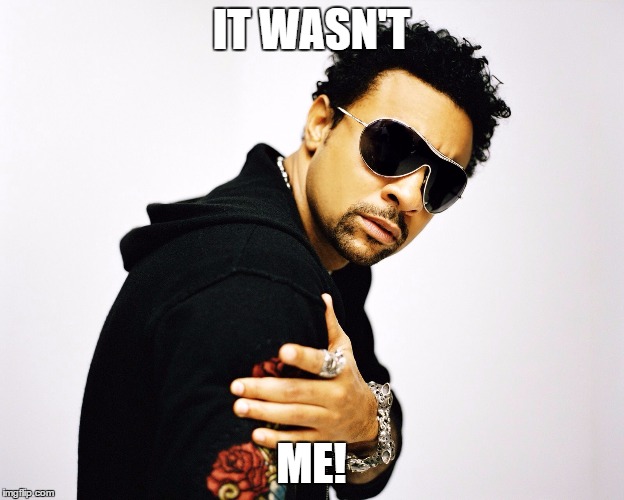 Shaggy | IT WASN'T; ME! | image tagged in shaggy | made w/ Imgflip meme maker