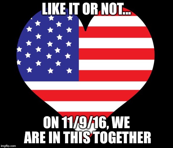 American Flag Heart | LIKE IT OR NOT... ON 11/9/16, WE ARE IN THIS TOGETHER | image tagged in american flag heart | made w/ Imgflip meme maker
