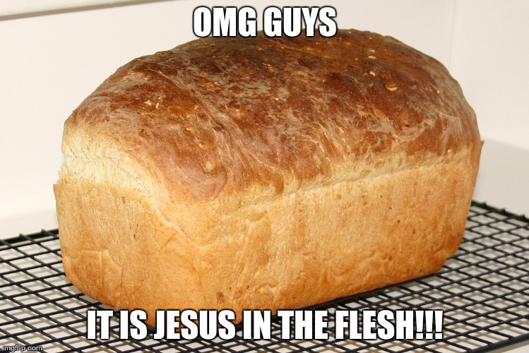 ITS JESUS- you know becasue bread is his body? | OMG GUYS; IT IS JESUS IN THE FLESH!!! | image tagged in jesus,jesus christ,original meme,sentences that have never been said | made w/ Imgflip meme maker