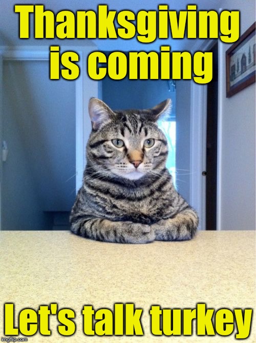 Take A Seat Cat | Thanksgiving is coming; Let's talk turkey | image tagged in memes,take a seat cat | made w/ Imgflip meme maker