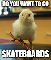 DO YOU WANT TO GO; SKATEBOARDS | image tagged in memes | made w/ Imgflip meme maker